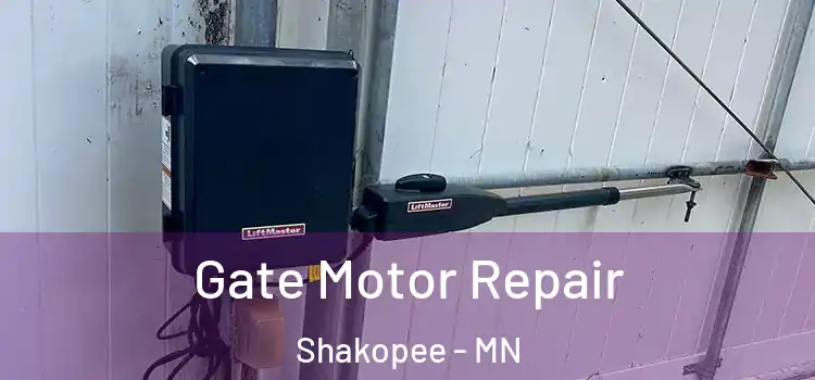 Gate Motor Repair Shakopee - MN
