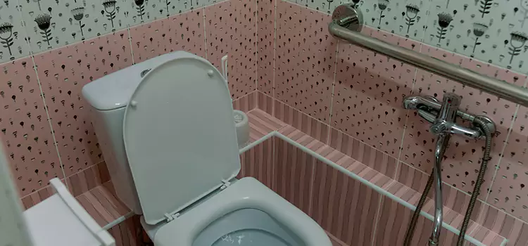 Meeting Diverse Needs With Accessible Restroom Solutions in Shakopee, MN