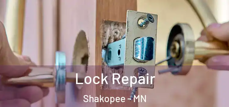 Lock Repair Shakopee - MN