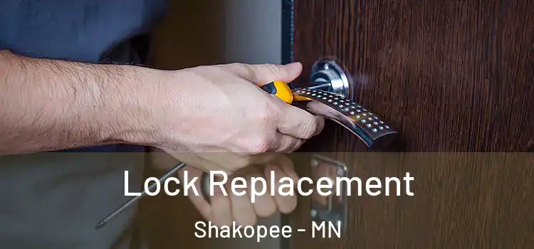 Lock Replacement Shakopee - MN