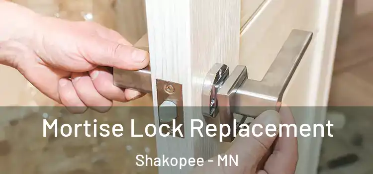 Mortise Lock Replacement Shakopee - MN