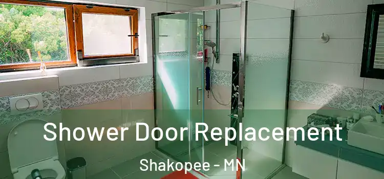 Shower Door Replacement Shakopee - MN