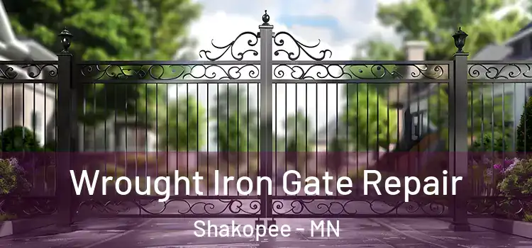 Wrought Iron Gate Repair Shakopee - MN